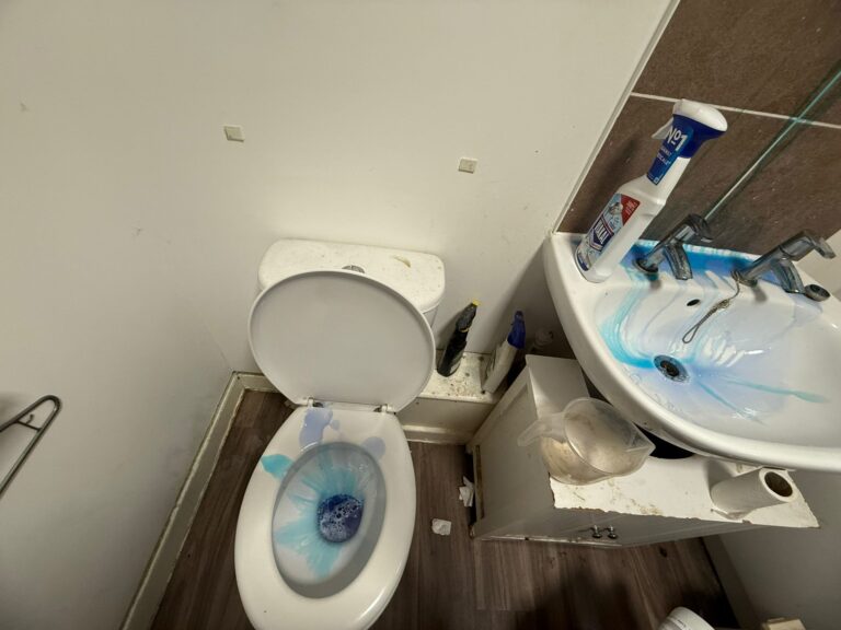 WhatsApp Image 2025-10-27 at 17.11